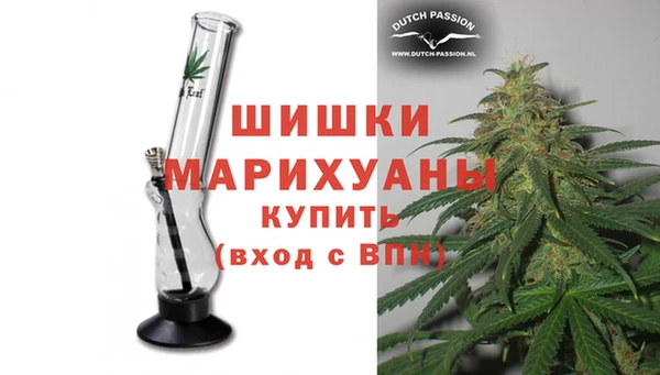 гашик Майский