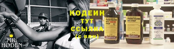 прущие грибы Магадан
