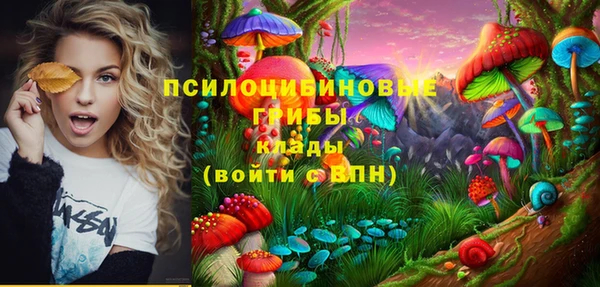 прущие грибы Магадан