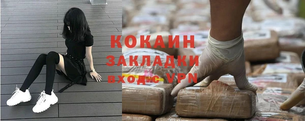 прущие грибы Магадан