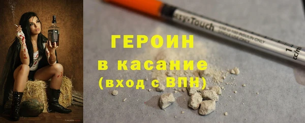 прущие грибы Магадан