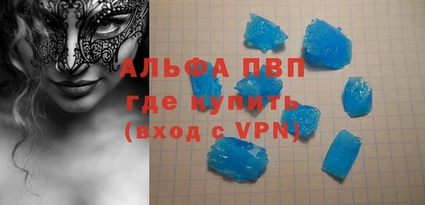 прущие грибы Магадан