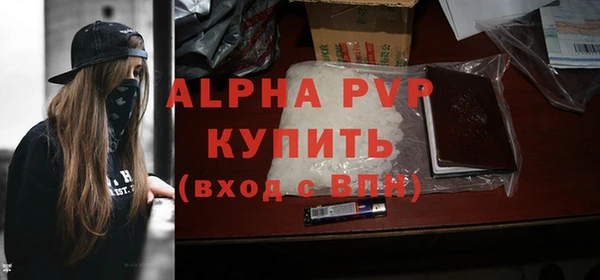 гашик Майский