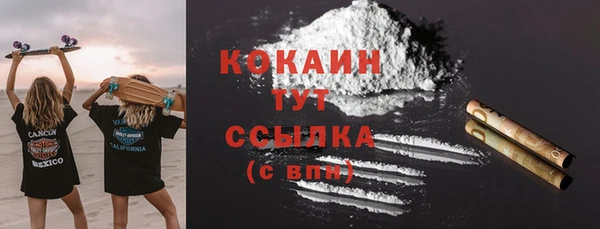 гашик Майский