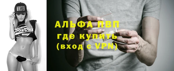 гашик Майский