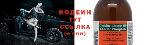 прущие грибы Магадан