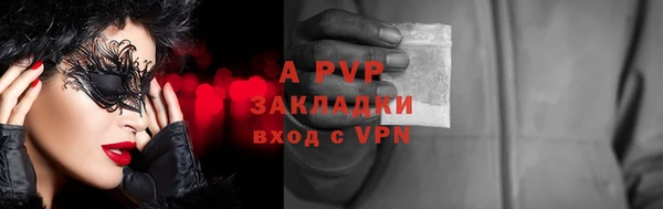 прущие грибы Магадан
