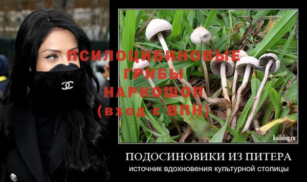 гашик Майский