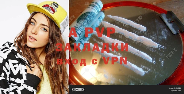 прущие грибы Магадан