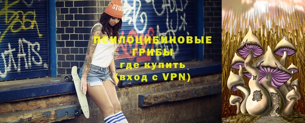 прущие грибы Магадан