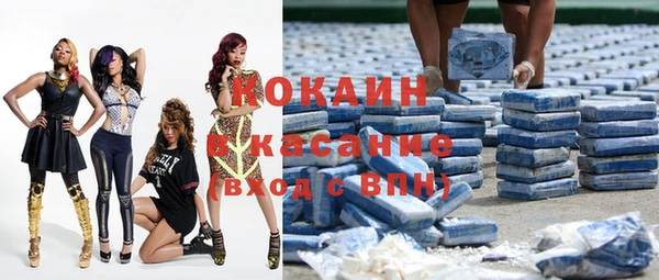 гашик Майский