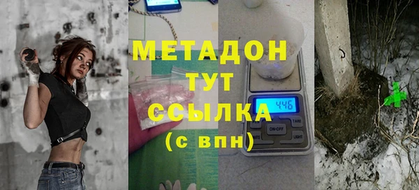 прущие грибы Магадан