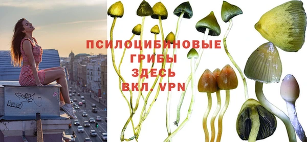 гашиш Магас