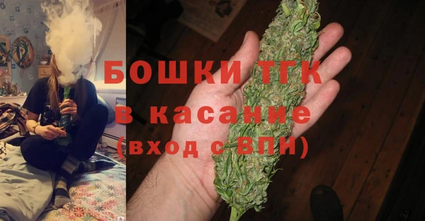 прущие грибы Магадан