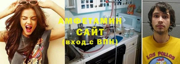 прущие грибы Магадан