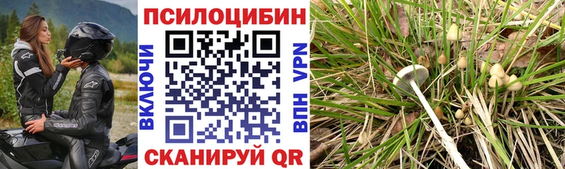 Псилоцибиновые грибы Psilocybine cubensis  маркетплейс Telegram  Зарайск 